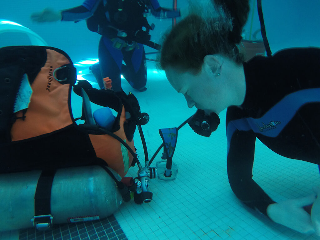 critical skills diver